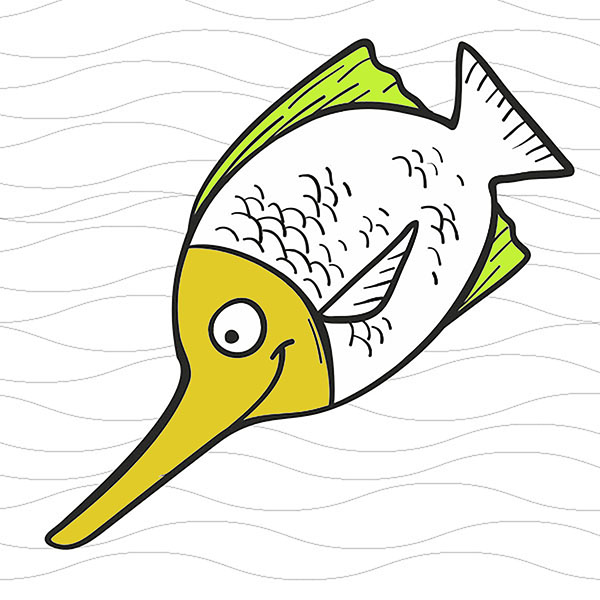 Veslokljunka - Paddlefish - COLORing