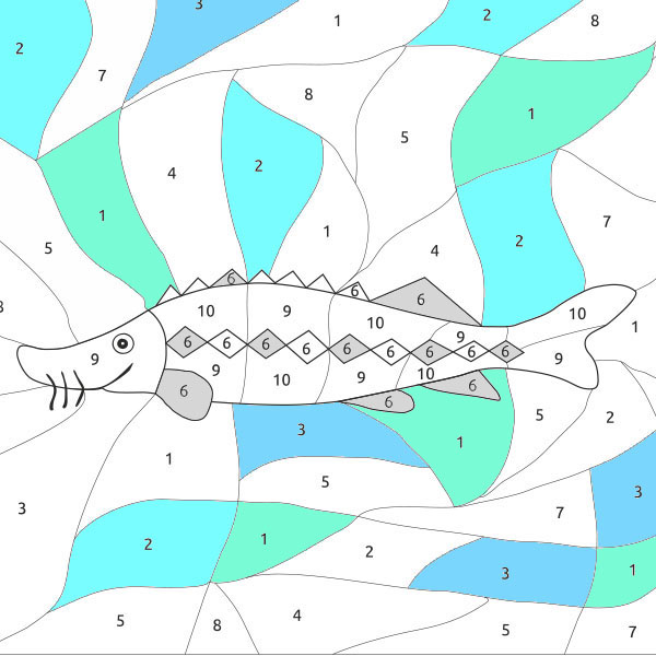Jesetra - Sturgeon (n°2) - COLORing