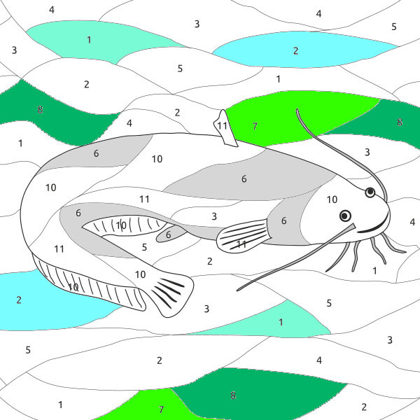 Som - Catfish (n°3) - COLORing