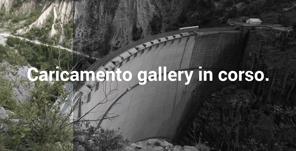 Caricamento gallery...