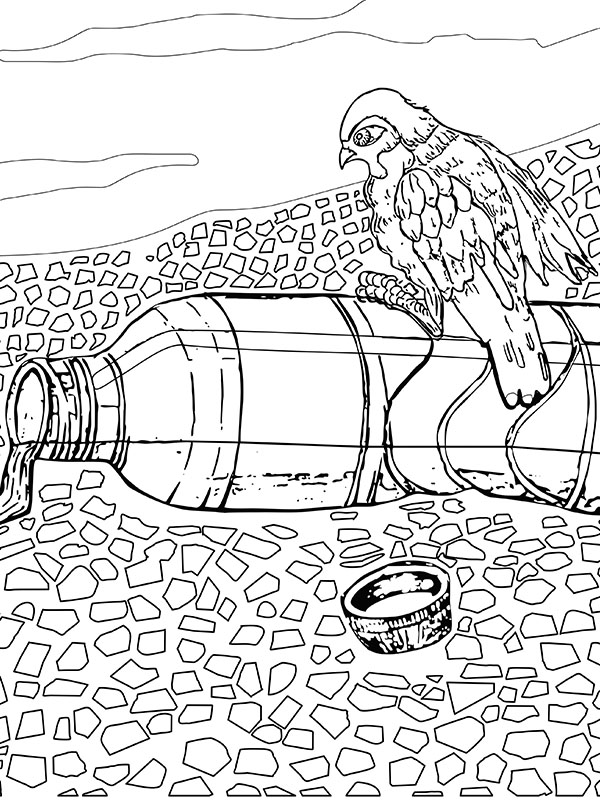 Χρώμα: Save Water (2022) - ARTing