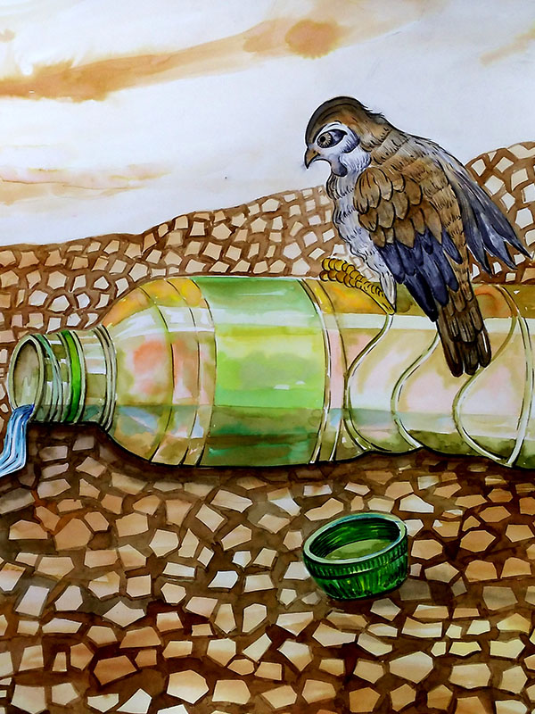 Save Water (2022). | The Water We Want