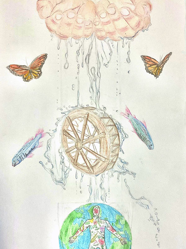 The Life Cycle (2024). | The Water We Want