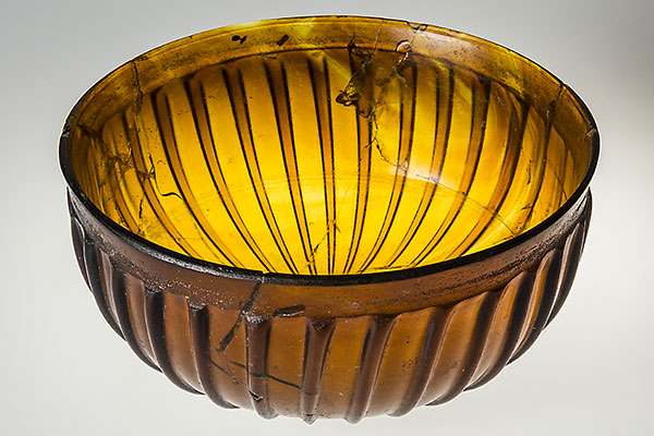 Stefano Bertolucci | Foto Coppa costolata