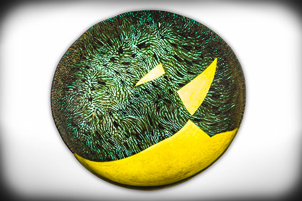 Stefano Bertolucci | Foto Coppa in vetro murrino