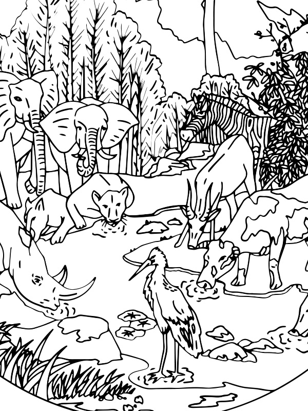 Colora: Fostering (2022). | The Water We Want - ARTing