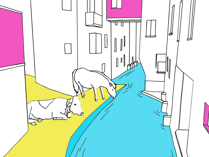 Il Guazzatoio. The Guazzatoio. - COLORing