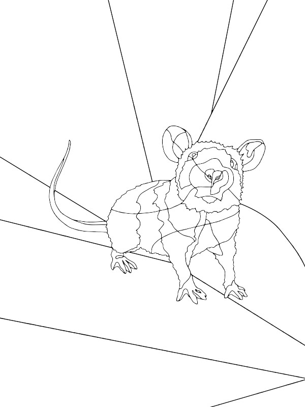 Colora: The Rat (2015). | The Water We Want - ARTing